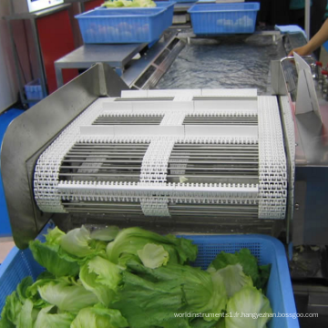 Fruits industriels Lavage et séchage des légumes